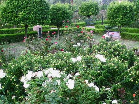 the pretty garden in rabat